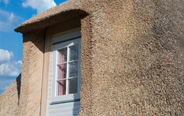 Lewannick thatch roof disadvantages